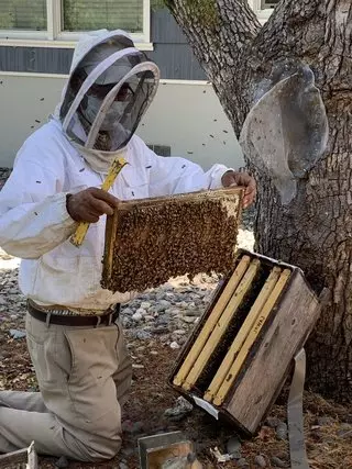 Khaled's Alive Bee Removal Service