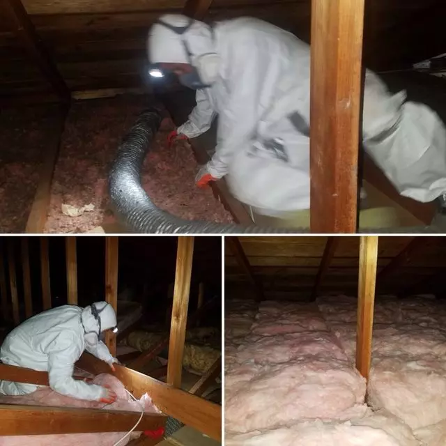 Attic Solutions - Rodent Proofing & Insulation Services