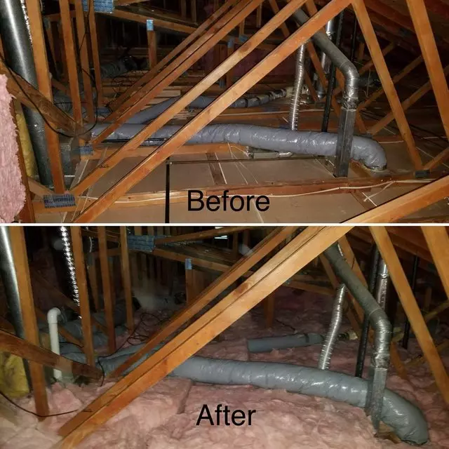 Attic Solutions - Rodent Proofing & Insulation Services