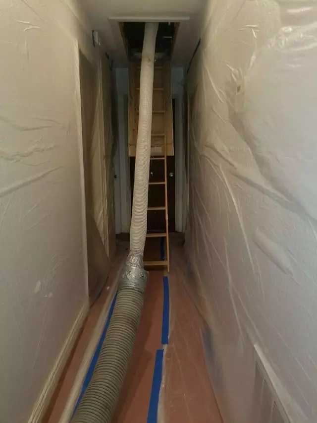 Attic Solutions - Rodent Proofing & Insulation Services