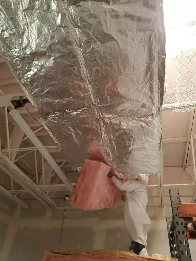 Attic Solutions - Rodent Proofing & Insulation Services