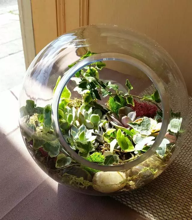 Apple Blossom Florist