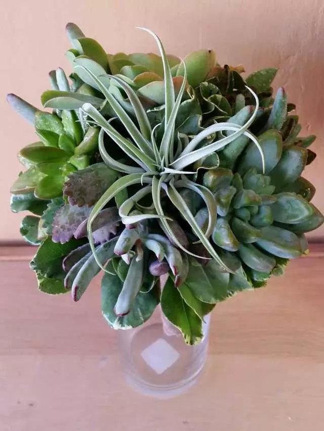 Apple Blossom Florist