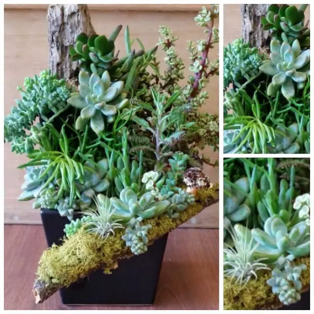 Apple Blossom Florist
