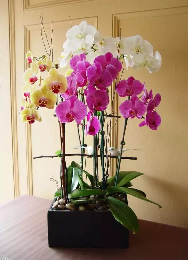 Apple Blossom Florist
