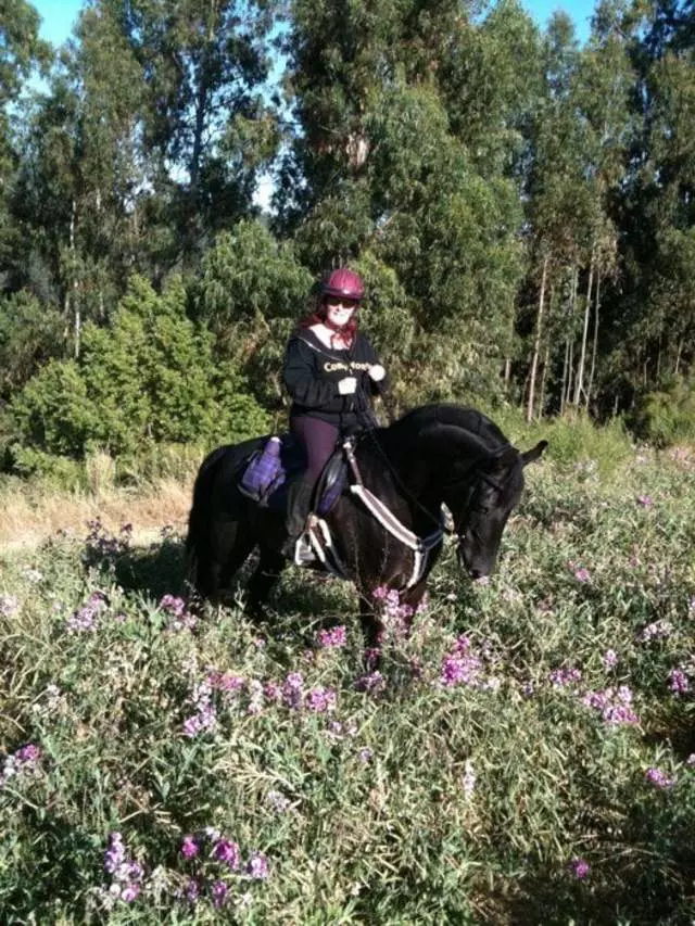 Anthony Chabot Equestrian Center