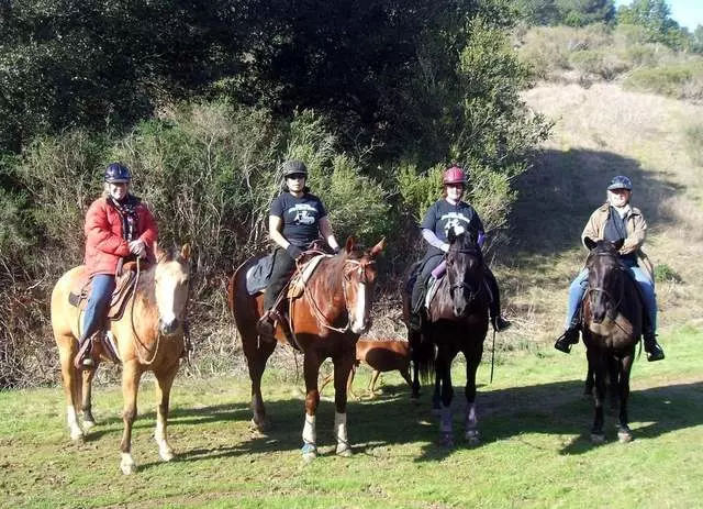 Anthony Chabot Equestrian Center