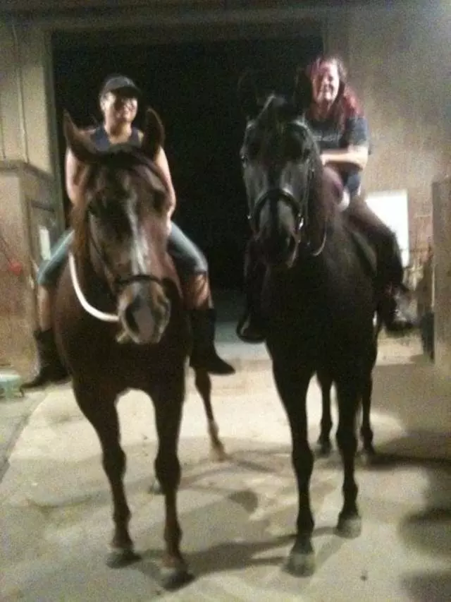Anthony Chabot Equestrian Center