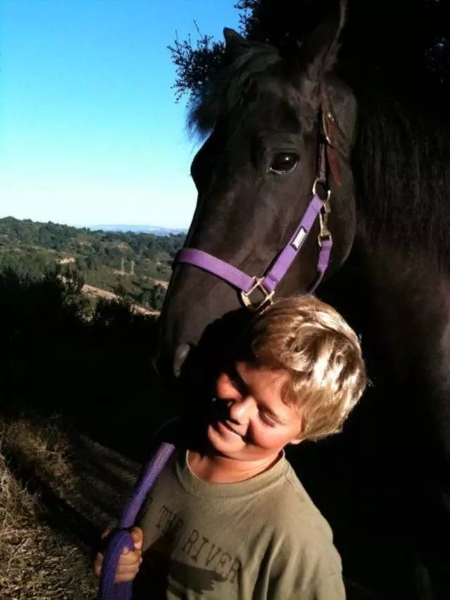 Anthony Chabot Equestrian Center