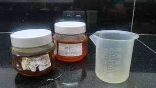 Ayurveda Marisol Holistic Healthcare