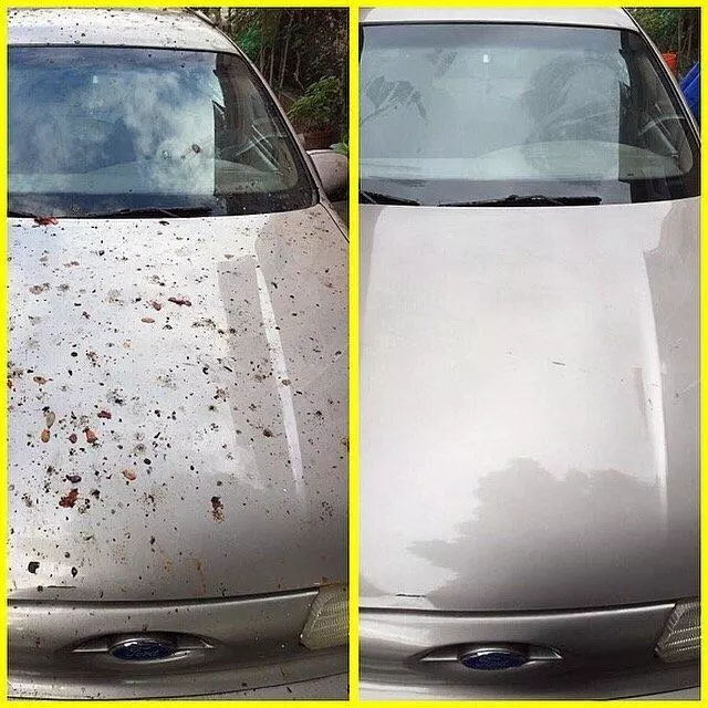 All Car’z Mobile Car Wash