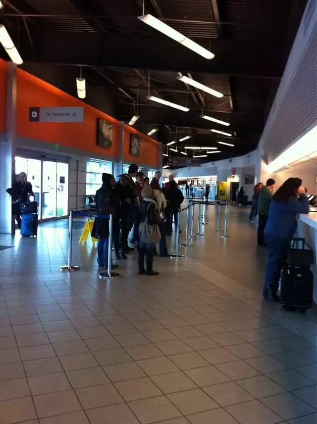 Avis Car Rental