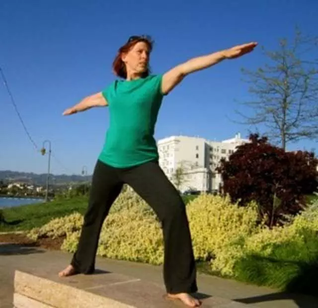 Advance Craniosacral Work