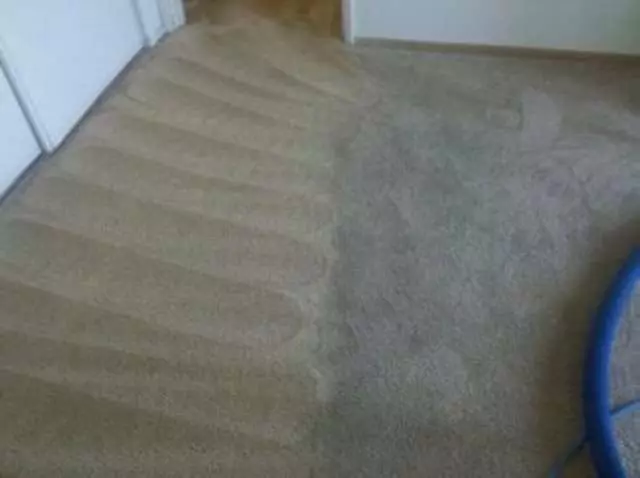 Amazing Carpet & Upholstery Cleaning