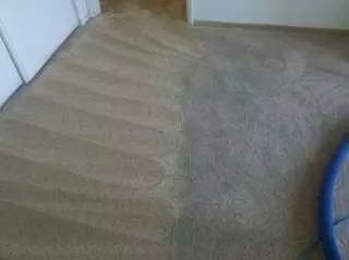 Amazing Carpet & Upholstery Cleaning