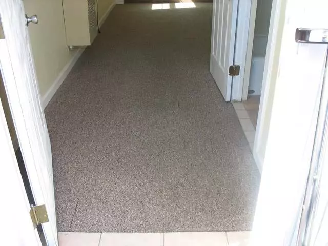 Amazing Carpet & Upholstery Cleaning