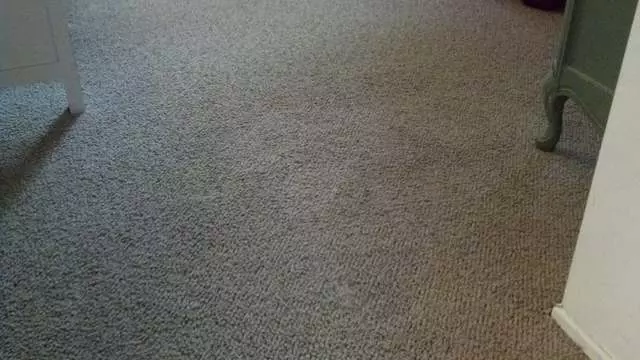 Amazing Carpet & Upholstery Cleaning