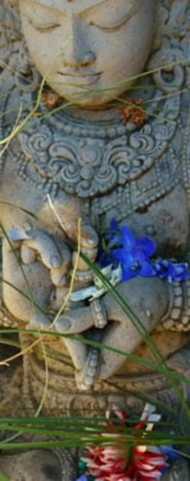Growing Still Psychotherapy with Uma Kahn
