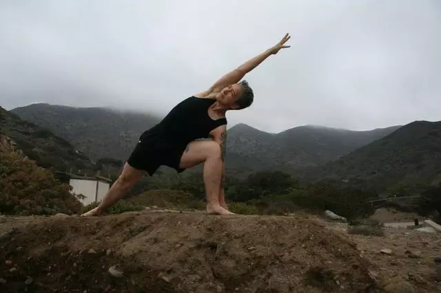 Anasa Yoga