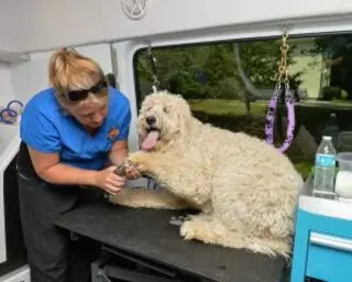 Aussie Pet Mobile East Bay