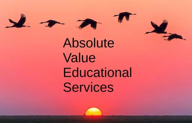 Absolute Value Educational Services
